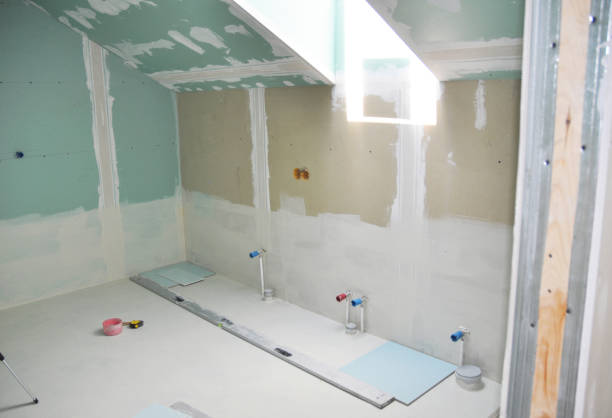 Best Airborne Mold Testing  in Middleport, NY