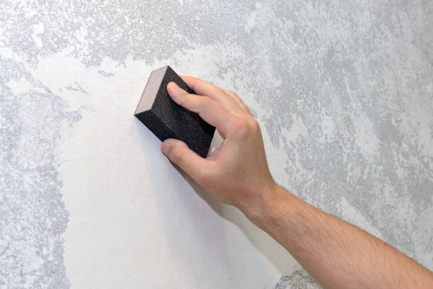  Middleport, NY Mold Removal Pros