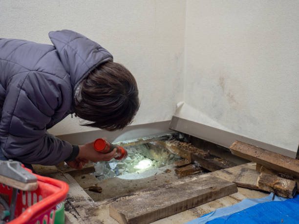 Best Asbestos and Lead Testing During Mold Inspection  in Middleport, NY