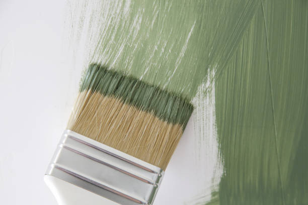 Best Basement Mold Removal  in Middleport, NY