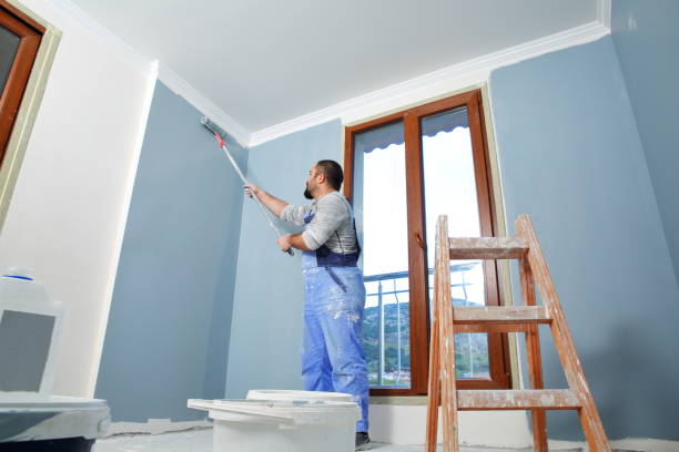 Best Mold Damage Restoration  in Middleport, NY