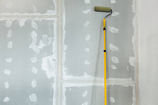 Best Dehumidification Services  in Middleport, NY