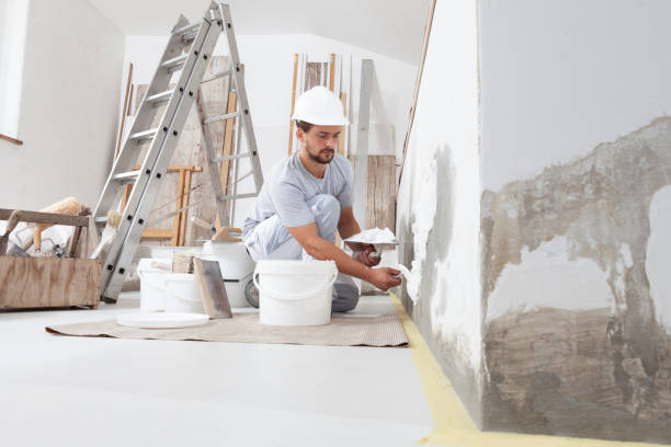 Best Comprehensive Air Testing for Mold Contaminants  in Middleport, NY