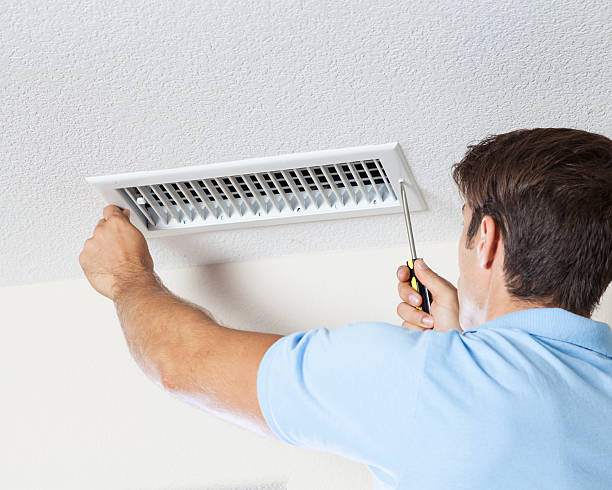 Best Water Damage & Mold Remediation  in Middleport, NY