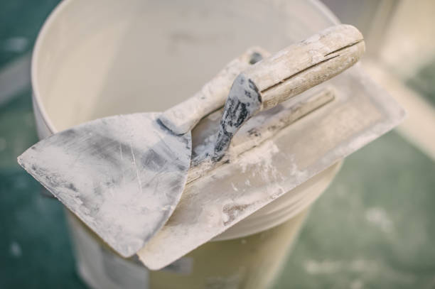 Best Post-Construction Mold Inspection  in Middleport, NY