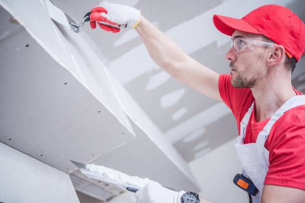 Reliable Middleport, NY Mold Removal Solutions